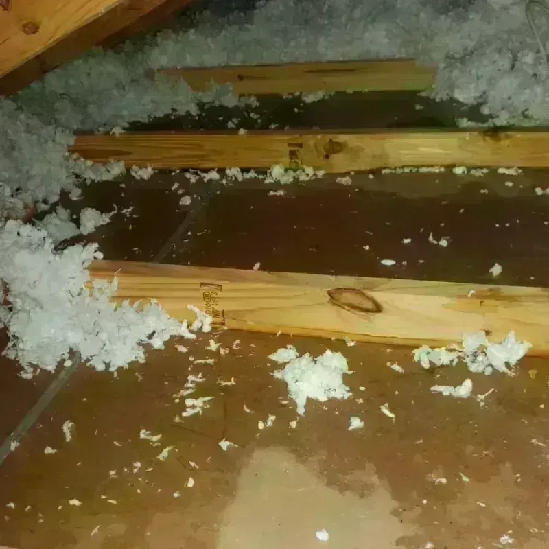 Attic Water Damage in Dexter, NM